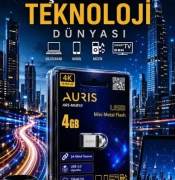 Auris 4gb Mi̇ni̇ Flash Bellek