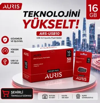 Auris 16gb Flash Bellek