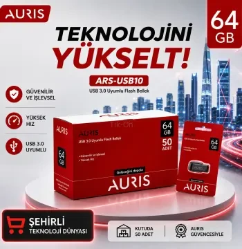 Auris 64gb Flash Bellek